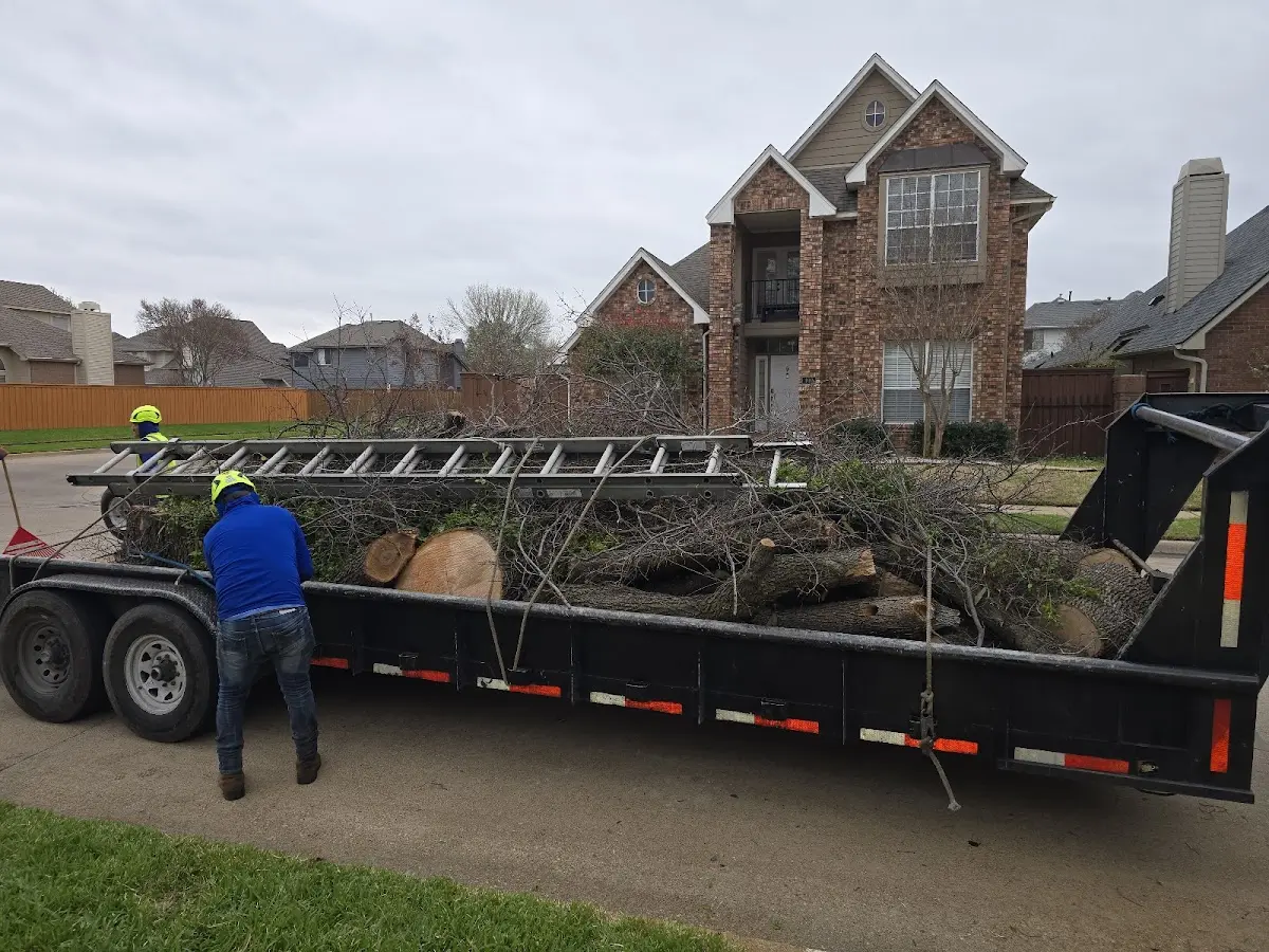 Expert Lot Clearing with proper safety equipment in Enterprise
